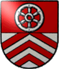 Logo BV Hchst